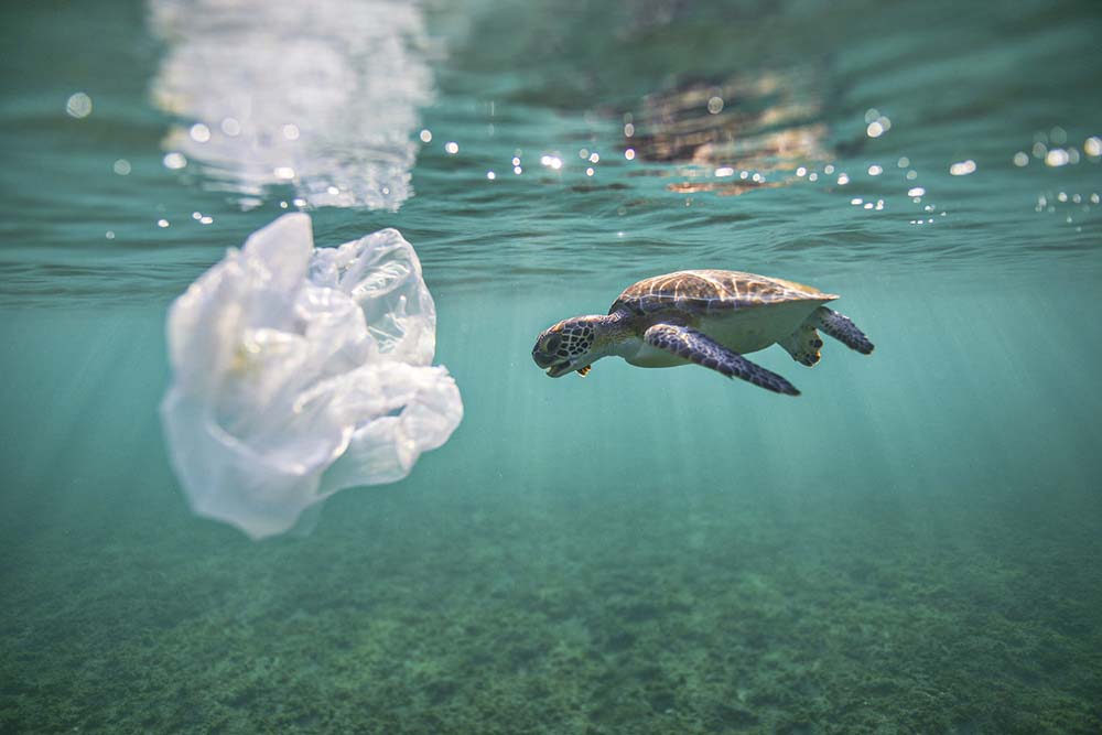 Los plásticos de un solo uso, prohibidos a partir de julio de 2021 en la UE